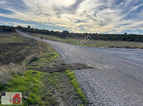 Eşme Kekliklide 5 Dönüm Satılık Tarla