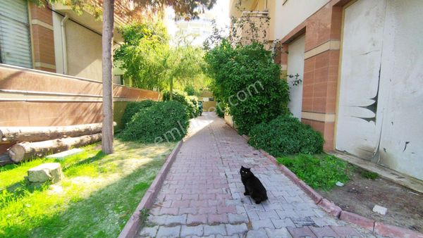 Merkeze Çok Yakın-3+1 Kiralık Büyük Daire