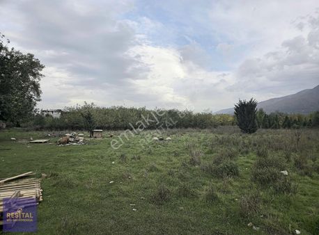 Yıldırım Samanlı'da 50.716 M2 Satılık Meyve Bah. Resital Big'de