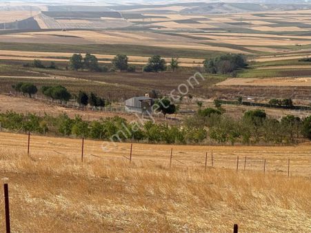 Çeşmeli Köyünde 365m2 Arsa