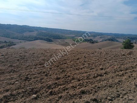 İmamoğlu Malıhıdırlı Köyü Yolu Üzerinde 7606 M2 Tarla Satılık