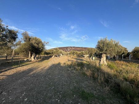 Foçada Yola Cepheli Numaratajlı Yatırımlık Arazi