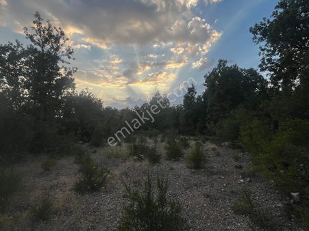 Sakarca Mahalles'inde 3942 M2 Tarla