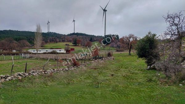Durmuşoğlu Gayrimenkul'den Balıkesir /havran /kocadağ'da Satılık Tarla.