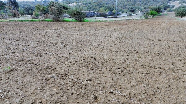 Eşme Güneyköy'de Baraj,yol Ve İstasyon Yakını 3970 M2 Tarla