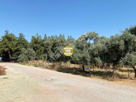 Hb'den Satılık Arsa, Mimar Sinan Mahallesi'nde Villa İmarlı