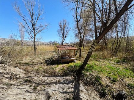 Acilll Ürgüp Cemil Köyünde Satılık Tek Tapu Tarla