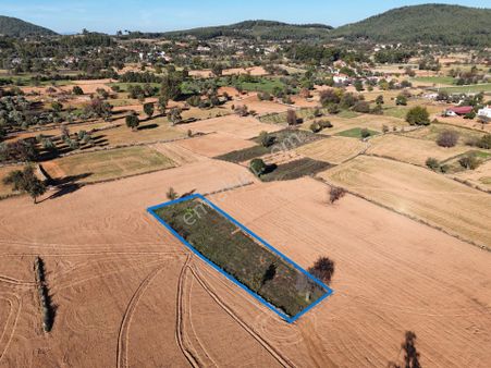 Yayla Mahallesi Fesleğen’de 902 M² Tarla – Gelişime Açık