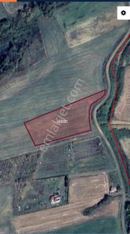 Derince Çavuşlu'da Köye Yürüme Mesafede Satılık Tarla