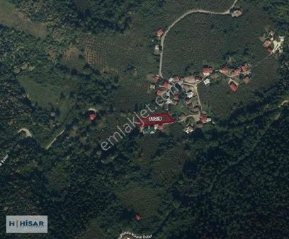 Hisar'dan Maçka Esiroğlu'nda Satılık Tarla