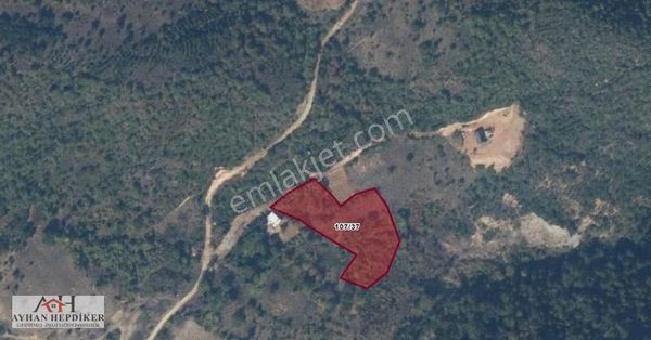 Sakarya Geyve Ilıca'da 3863 M2 Resmi Yolu Olan Orman Manzaralı