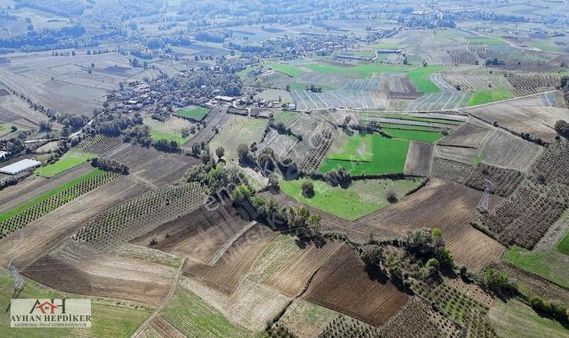 Kaynarca Şehytimarı Köyünde Resmi Yola Bir Parsel 2880 M2 Tarla