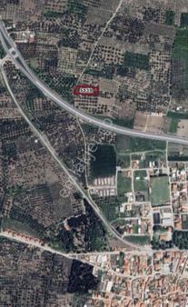 Karakaş'tan Süleymanlı'da 2700m2 Zeytinlik