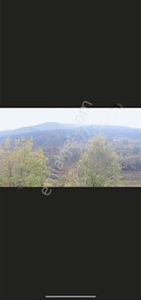 Kamberler Köyünde Emsalsiz Fiyat ! Tek Tapu! 4707m2 Numaratajlo