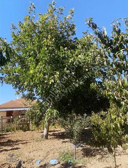 Antalya Korkuteli Kızılcadağ 1133 M2 Hisseli Satılık Tarla