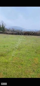 Çanakkale Yenice Örencik Köyü Satılık