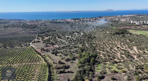 Ezine Kemallı Köyünde Denize Çok Yakın Satılık Villa İmarlı Arsa