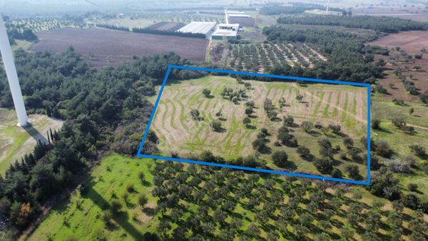 Han Emlak Otomotiv'den Ezine Üvecik'te 14700 M2 Satılık Tarla