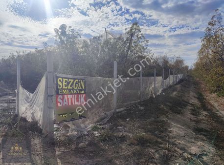 Tarsus Atalar Da Satılık 14,278 M2 Nektarin Bahçesi