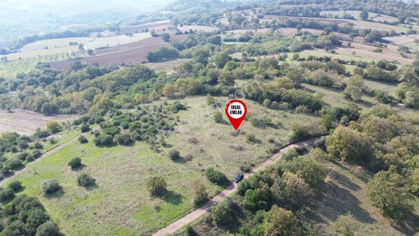 Çanakkale Biga Kozçeşme Köyünde Fırsat 4.050 M2 Tarla!!!