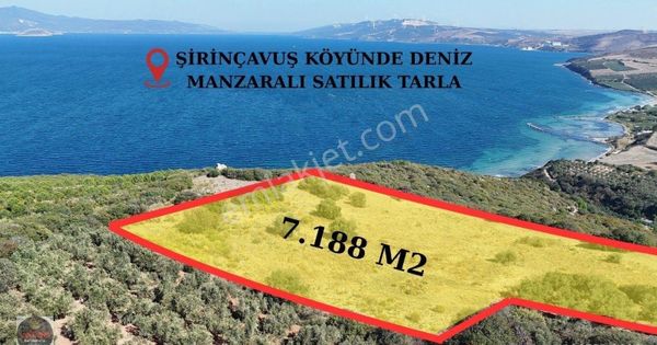 Aycan Gayrimenkulden Şirinçavuşta 7188 M² Deniz Manzaralı Tarla