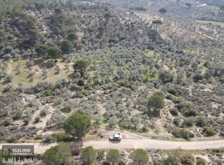 Torbalı Ormanköy'de Yatırımlık 26 Dönüm Tarla & Zeytinlik