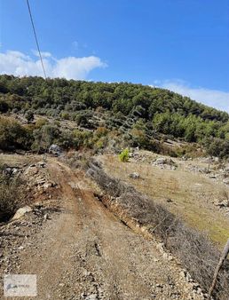 Muğla/ortaca Dalyan Gökbel'de Satılık 1,275 M2 Tarla