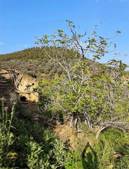 Muhteşem Doğa Vadi Manzaralı Taş Ev 588m² 2 Adet Arsa Ayrı Ayrı