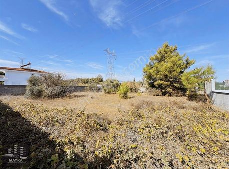 Duacı Da 865 M2 Satılık Arsa