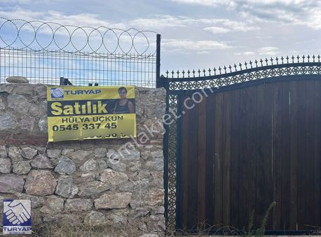 Çamlıbel Köyünde Satılık Deniz Manzaralı Zeytinlik