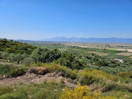 🌿 Zaza Emlak'tan Kaçmaz Fırsat! 🌿