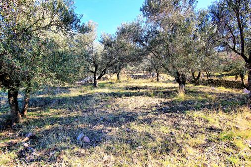 🌿🌿 Aktiften Burhaniye Bahadınlı'da Kadastro Yola Cephe 25.120m2 Manzaralı Zeytinlik 🌿🌿