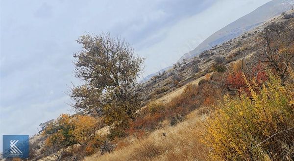 Gesı Güzel Koy Satılık Arsa