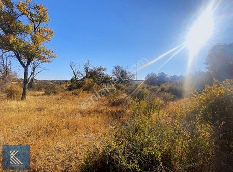 Gesi Güzelköy Loga Mevkiinde Satılık Bahçe Yatırım Ve Huzur İçin