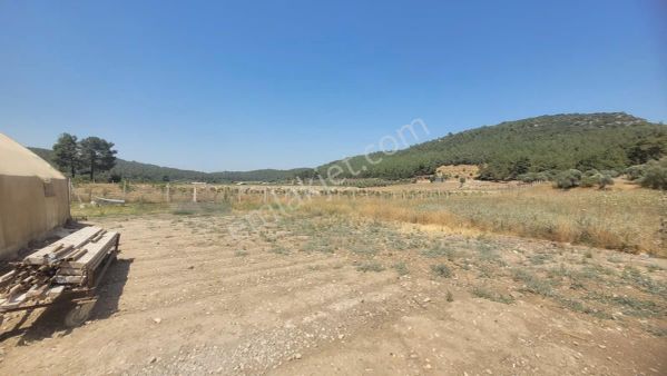 İzmir Menderes Çilede Yatırımlık Satılık 9500 M2 Tarla