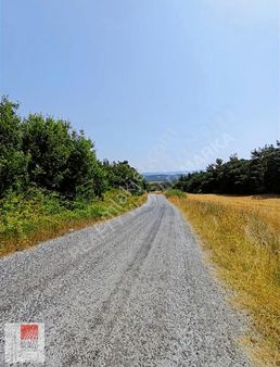 Çanakkale Lapseki Umurbey Satılık Arazi Kadastrol Yolu Fırsat