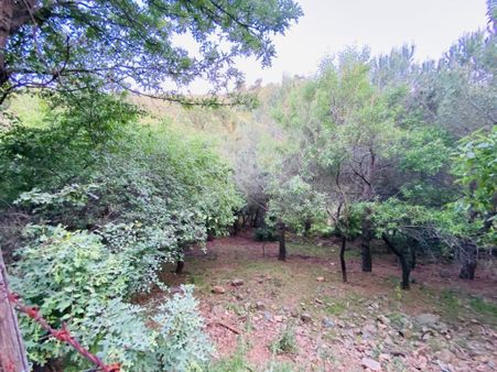 Bergama Hacılar Turanlı Köyünde Satılık Tarla