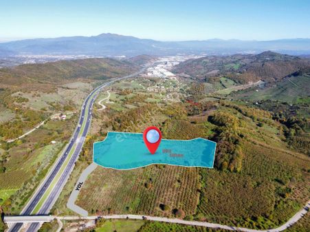 Hak Emlak'tan Anadolu Otoyolu Cepheli 44.750 M² Satılık Arazi