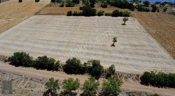 Hly' Den Pamukçu Mahallesinde Yola Cepheli Satılık 8356 M2 Tarla