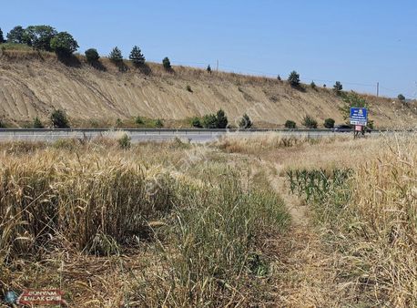 Adapazarı Kaynarca Yolu Yanı 1208m2 Müstakil Tek Tapu Tarla