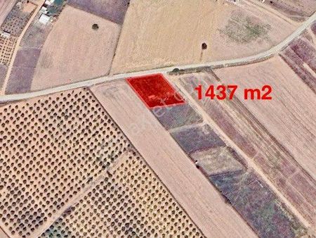 Develi'de Yola Cepheli, 1437 M2, Satılık Tarla