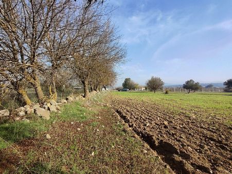 Manisa Yunusemre Osmancalı 4525 M2 Satılık Tarla