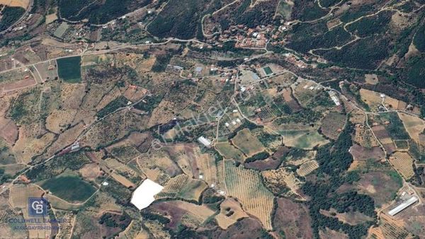 Turgutlu Dağyeni Köyde 7 Dönüm Tarla