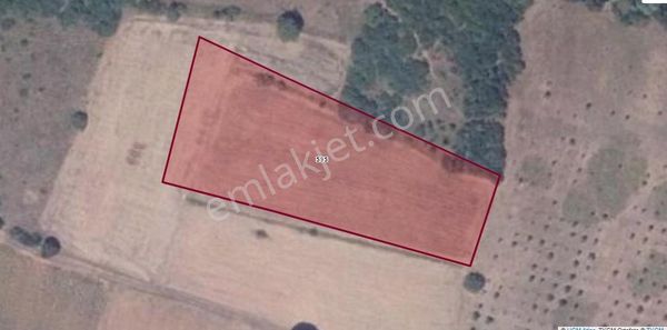 Bursa Karacabey Canbaz Da 4.750m2 Satılık Tarla