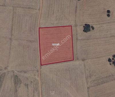 Rw Milyon'dan Cumhuriyet (sekiören) Mah. Satılık Tarla