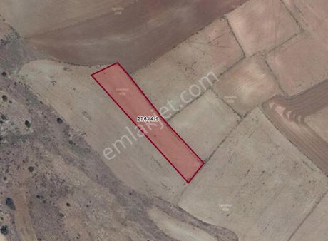 Rw Milyon'dan Cumhuriyet (sekiören) Mahallesinde Satılık Tarla