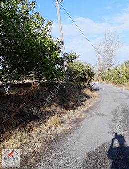 Tekirdağ Saray Sofular'da 2.5 Kat İmarlı Satılık Arsa