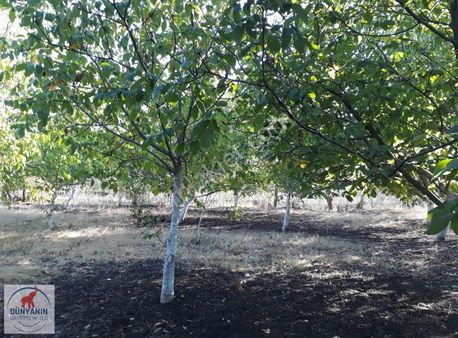 Tekirdağ Saray Sofular'da 2.5 Kat İmarlı Satılık Arsa