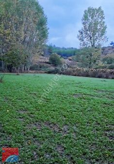 Taraklı Merkezde Bölgenin En Güzel Bahçesi En Özel Fiatı