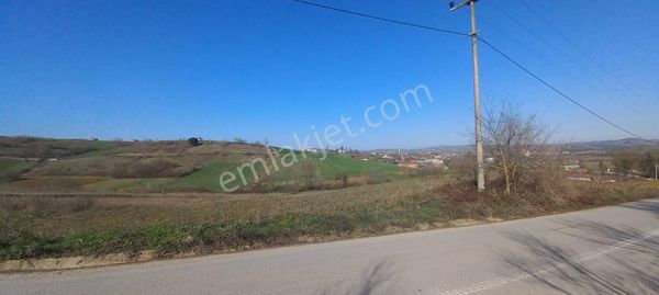 Kocaeli Körfez Himmetlide Satılık 1.677m2 Köy Karşısı %5 İmarlı Tarla